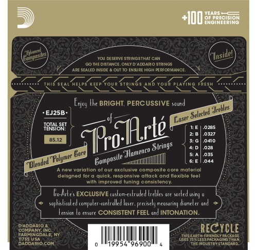 D`ADDARIO EJ25B Flamenco фото 2