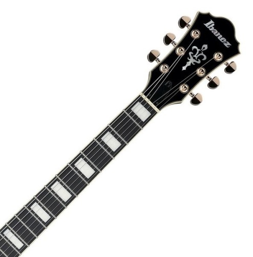 IBANEZ AF95FM-AYS фото 2